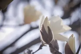 不管你奔几了，都要记住！图片