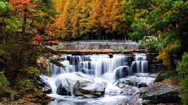 免门票福利！白云山绝美秋色正在上映→