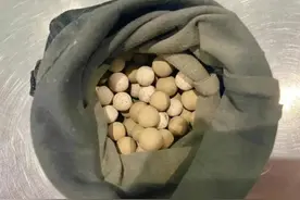 这种“石头”一天辐射量相当于做近百次胸片！千万别带回家！图片