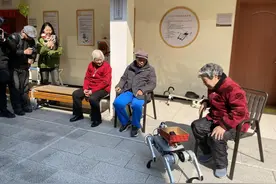 机器狗能成为导盲犬“平替”吗？专家：优势突出但非唯一选项图片