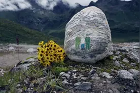 “如果哪一天我也倒下了，就留在这个地方”图片