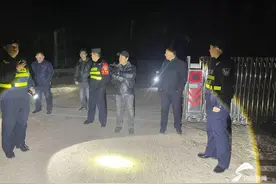 30头牛深夜集体“出逃”，高唐警民联手4小时快速寻回图片