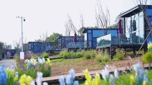 乡村文化旅游季，一起Countrywalk 露营赏景！