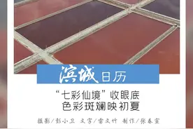 滨城日历｜2024年5月16日图片