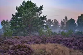 德国勃兰登堡自然保护区风光旖旎图片