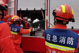 舟山眼镜蛇闯入蛋糕店，被“流放”至百公里外图片