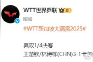 王楚钦/林诗栋晋级男双4强图片