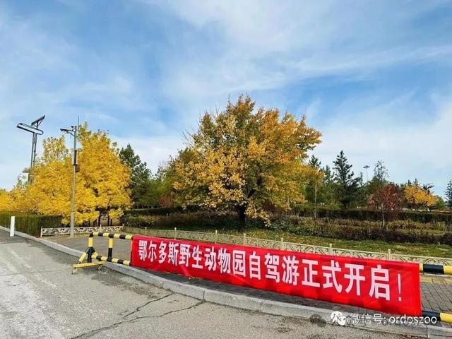 今日开放自驾游，这些人免门票→