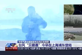 总台记者直击台风“贝碧嘉”：风力已超12级 路边护栏被吹断图片