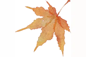 深圳市中医院引进天津市中医药研究院附属医院张勉之教授“补肾活血法”防治慢性肾脏病临床研究与转化应用团队图片