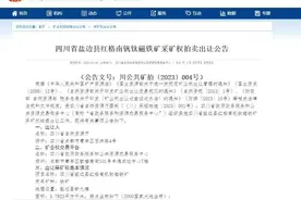 我国最大钒钛磁铁矿采矿权11月将拍卖，攀枝花红格南矿能否再造一个“攀钢”？图片