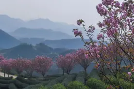 冷一旦遇到湿，便无处不在图片