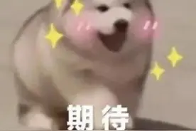 必看！第九届寻找“最美南粤少年”活动来了！报名须知→图片