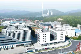 云浮“南药经济”跃向百亿级图片