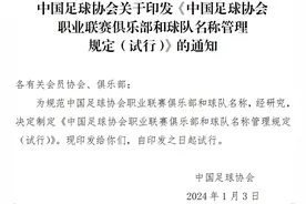 中国足协连发重磅新规 重新开放球队冠名与异地迁移图片