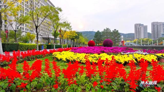 神木滨河新区秋色如画 邂逅诗意生态美景