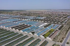 探访完和田县和谐新村，记者想留下种大棚图片