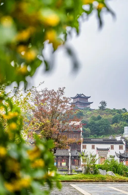 如果你要写溧水的秋天……（文末有福利）
