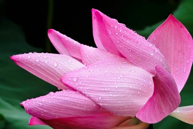 四时天工 扬州如画