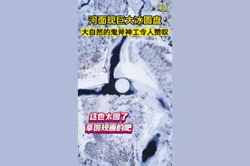 秀我中国｜河面现巨大冰圆盘，大自然的鬼斧神工令人赞叹图片