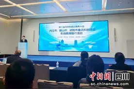洪雅：无人驾驶熊猫电动观光车项目亮相蓉城图片