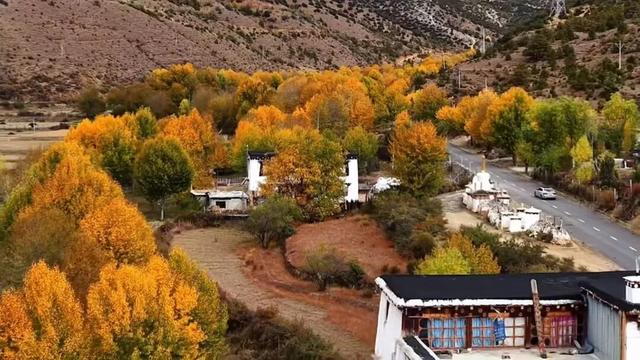 它都这么美了！差点忘记推给你了