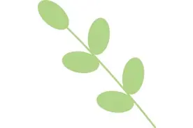 暖心定制！“智养张庙”送餐服务为受伤老人化解饮食难题图片