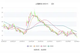 上海家化：2024年上半年净利润2.38亿元 同比下降20.93%图片