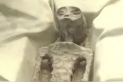 墨西哥展出疑外星遗骸，中国航天回应:尚未发现外星人存在确凿证据图片