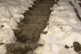 游客夜爬华山称发现下山捷径，景区：目前官方只有一条徒步下山的路图片