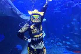 在水下变脸的人：这一生就想专注做好这一件事图片