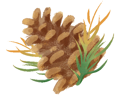 上新！珠海“顶流爱心树”浪漫升级，出片率100%！