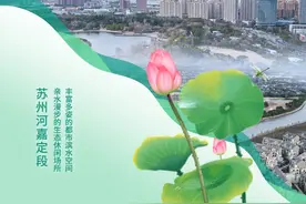 节气·小暑丨苏州河嘉定段：漫步滨水空间，乐享悠闲时光图片