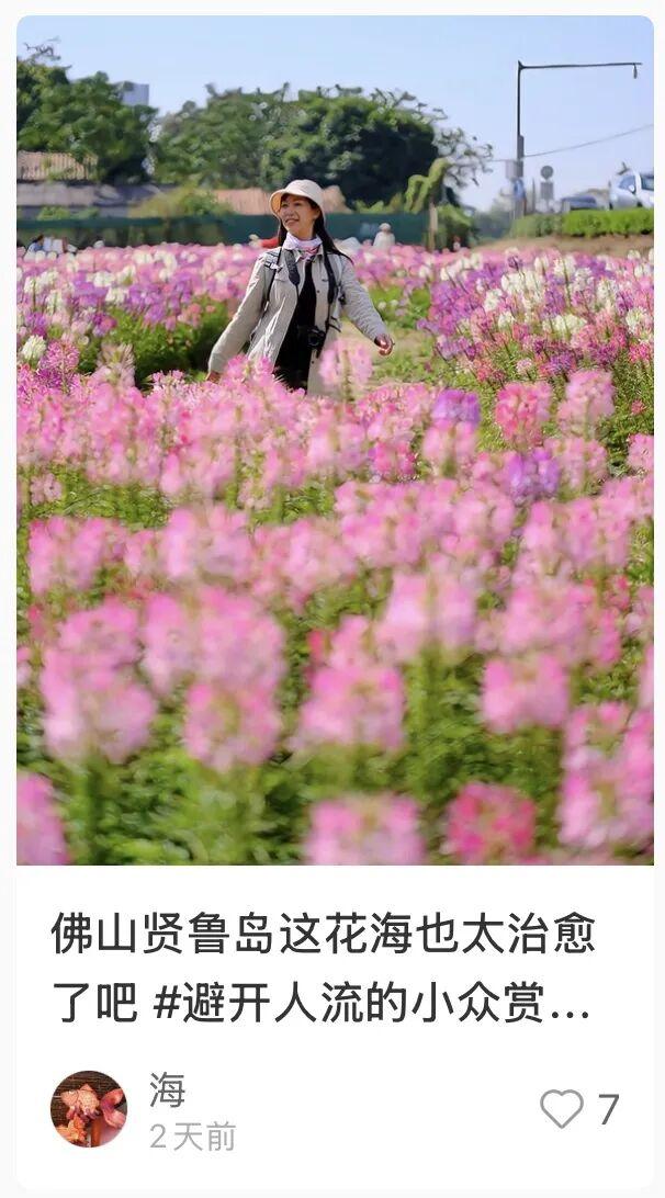 全网爆火！被里水这座浪漫岛屿惊艳到了！游玩攻略→