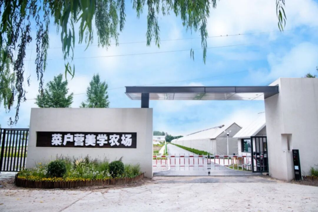秋实累累 | 别错过！来丰台菜户营共赴一场自然美学发现之旅！