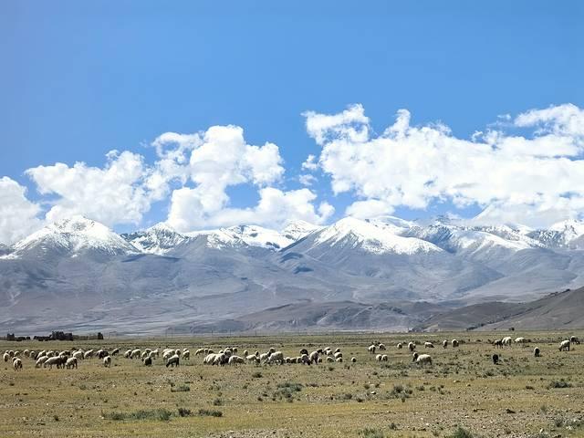 人生总要去一趟西藏吧（下）