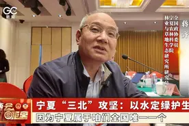 2025《两会零距离》| 宁夏“三北”攻坚：以水定绿护生态图片