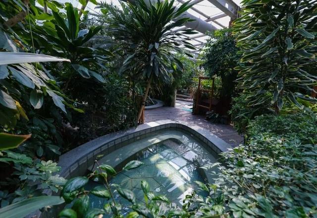 元旦去丰台，全家一键解锁冬日微度假小确幸——