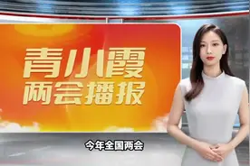 全国政协委员吴义勤：借助AI加速网文翻译效率，设立网文出海相关奖项视频封面