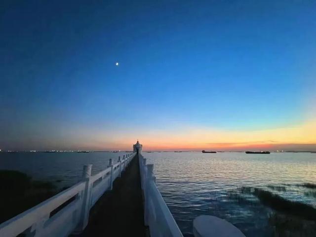 崇明秋色，坠入一场温柔的五彩梦境