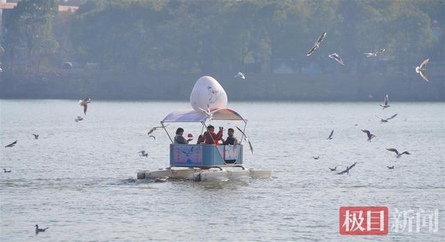 武汉冬日限定体验 ：20℃暖风中骑行，和西伯利亚红嘴鸥一起过“夏天”