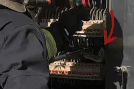 一条蛇躲进床下…气温回升蛇出没，云南消防开启“捕蛇模式”图片