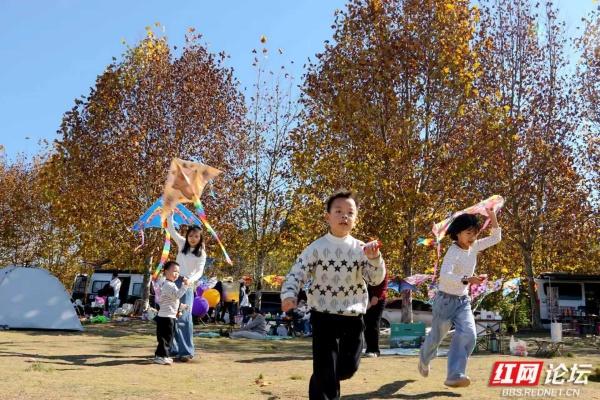 郴州这条黄叶道火了！露营放风筝，烟火气裹满暖意