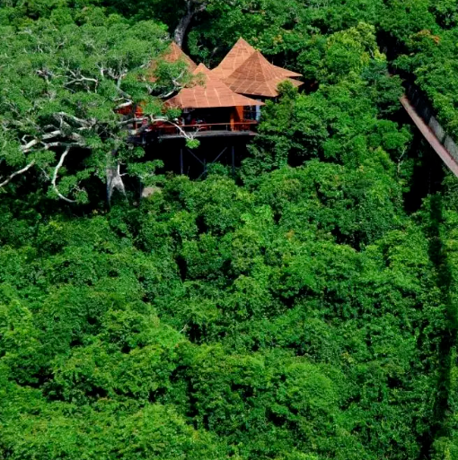 三亚，“老”出片了