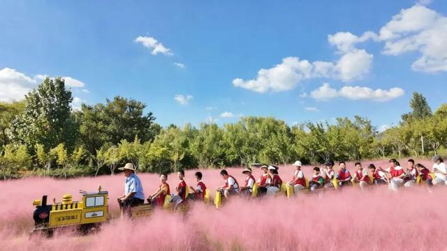 央视报道！就是现在！最佳赏叶期！还有玩法大升级……