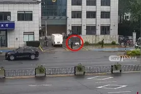 小狗走失后自己“报警”，半天就回家！全靠这个图片