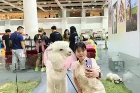 2024中部长沙宠博会开幕图片
