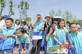 一张贴纸能救鸟儿一命！武汉观鸟人给动物园观展玻璃贴纸防鸟撞图片