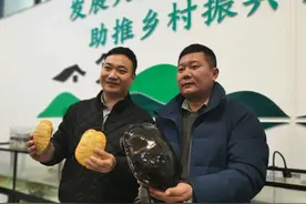 莞韶十年帮扶结硕果（二）：乌龟变“金龟”，带动新韶镇大陂村三……图片