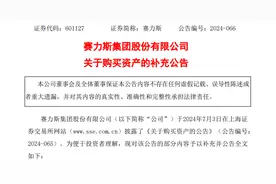 赛力斯赚大了？963项问界商标、外观专利估值102亿图片